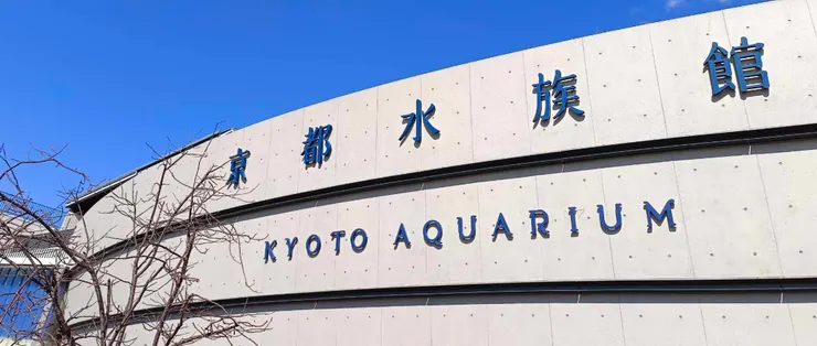 京都水族館。自行拍攝