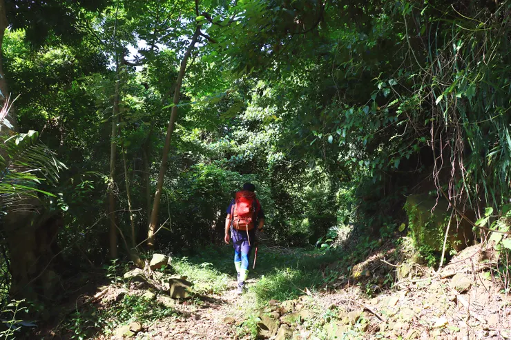 本次由在地的三毛貓擔任嚮導