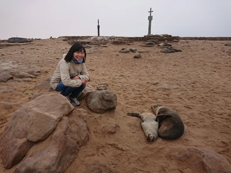 睡翻了的海豹 拍照還是保持距離吧