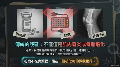 慢性疼痛解密：最新醫學研究帶你看懂筋膜與神經的連動機制