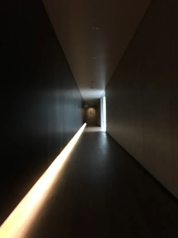 通往光的走廊，彷彿引導著心靈的探索。