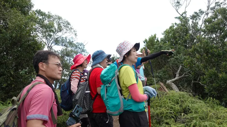 大家在看甚麼呢?