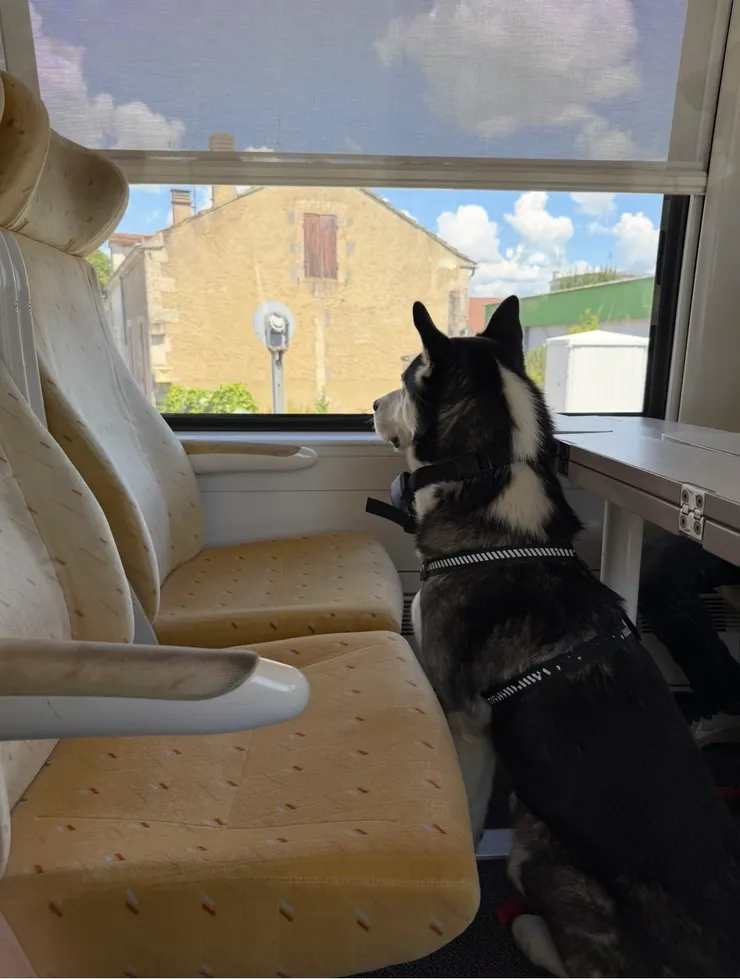 我很喜歡這一張