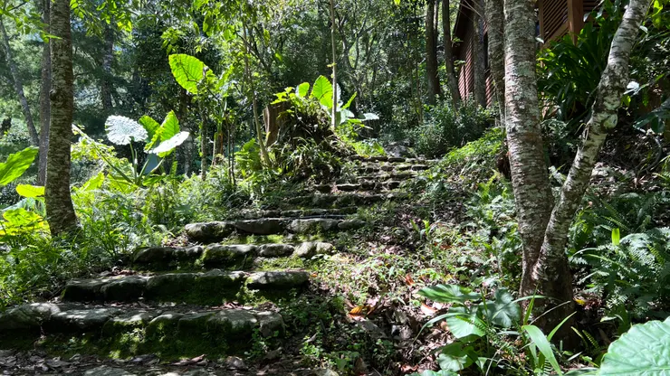 天籟步道走向小木屋的石階