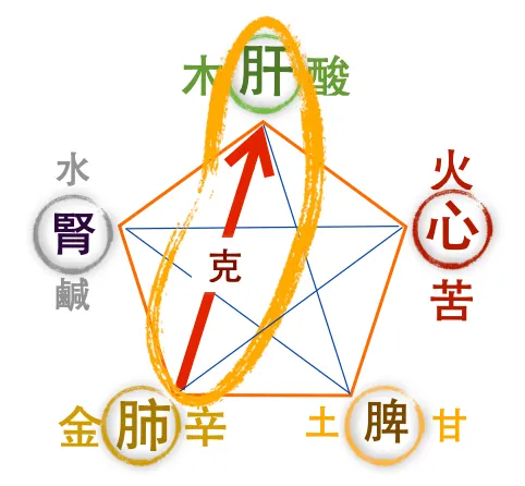 秋季飲食的味道:吃酸,養肺護肝