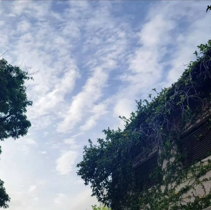 Day 6 重複的循環,發現新的美