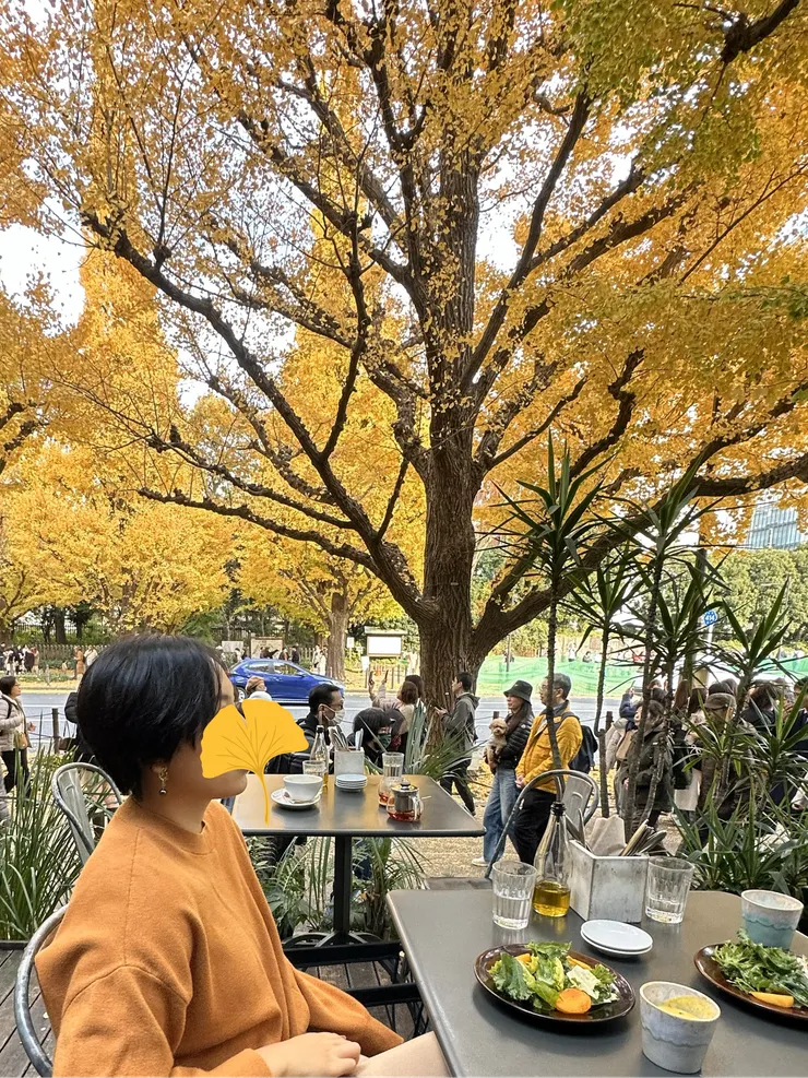 我自己印象最深刻的一頓午餐，和書中描寫的情境天差地別。某年十月我造訪明治神宮外苑銀杏林，選在一家義式餐廳的戶外座位一面享用午餐、一面欣賞整片金黃的景色。前菜剛上時我還覺得頗爲浪漫，但用餐到一半就發現料理實在涼得太快，而且在欣賞人山人海的杏林道的同時，我不禁注意到大啖美食的自己其實也是眼前這些遊客眼中的風景。我就這樣不斷在沈浸於美景以及略為不自在的狀態之間搖擺，歷經了難忘的午餐時光。