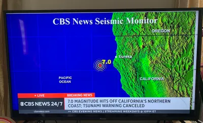 神獸的「第七感」…又是大地震…