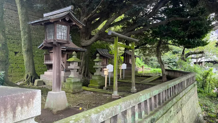 老樹本身就可能被視為神靈寄宿之所，因此這類神社常出現在樹下。