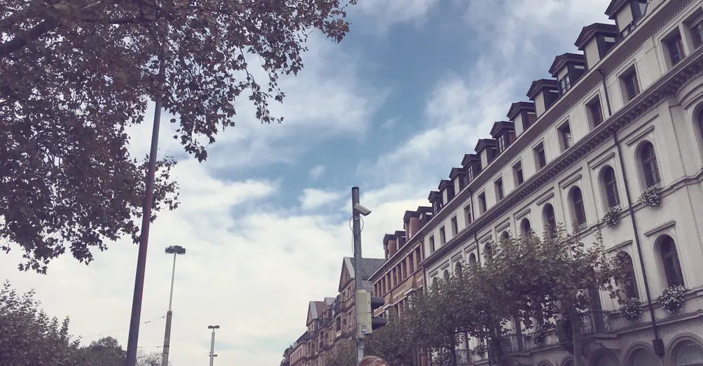 布丁貓Putingcat|醫美白話文