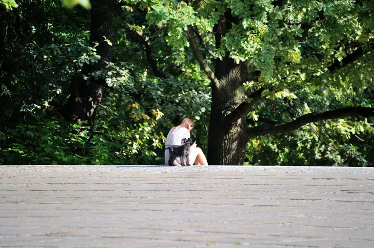【樹林草地三兩木椅與幾條曲徑，偶逢散步蹓狗客只有更顯幽靜！里茲公園。】