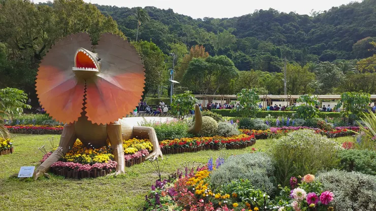 3 公尺高的澳洲傘蜥蜴。（攝影／陳宜彣）