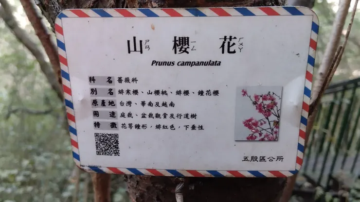 櫻花名牌