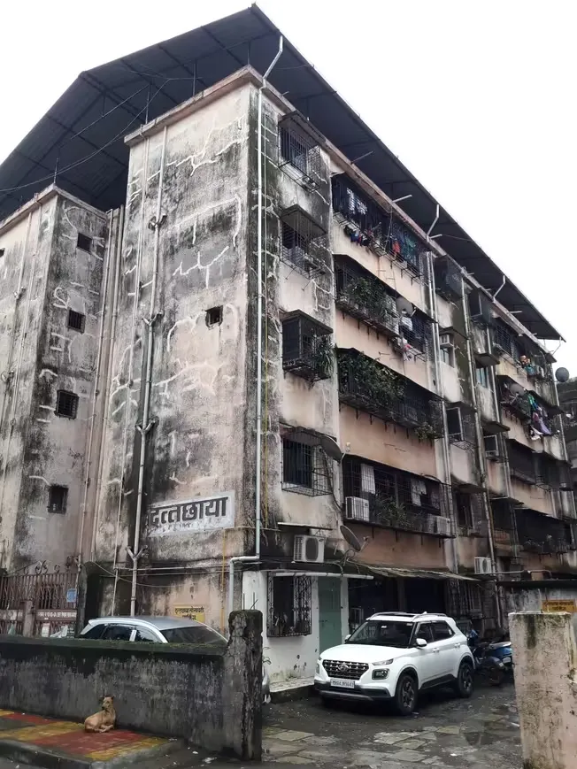 強震搖出百萬棟老屋改建潮　都更糾紛多該如何修法？