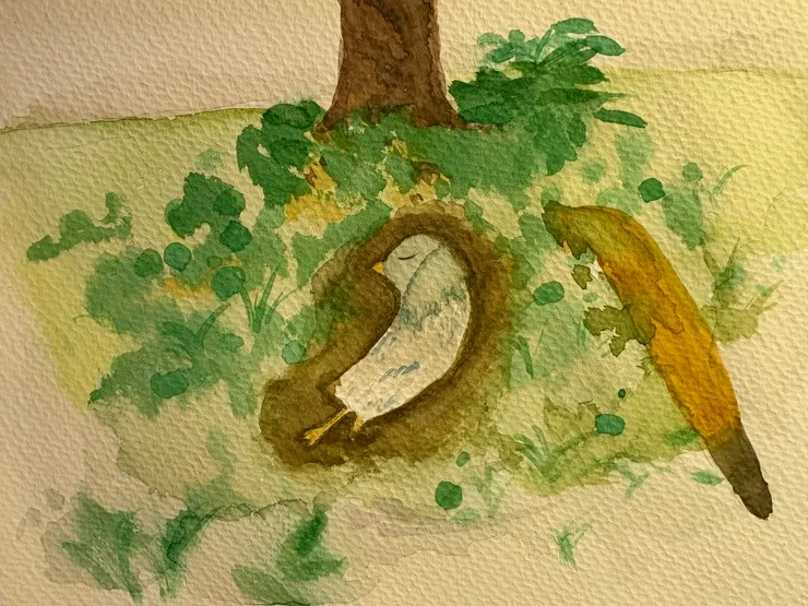 決定畫下沒有蓋上泥土被子的時刻