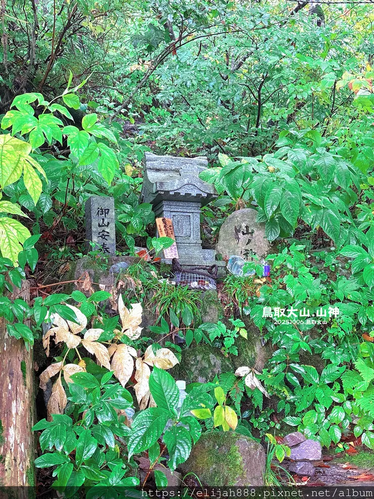 【2025初秋.鳥取県大山町登山趣】夏日登山口/海拔1709