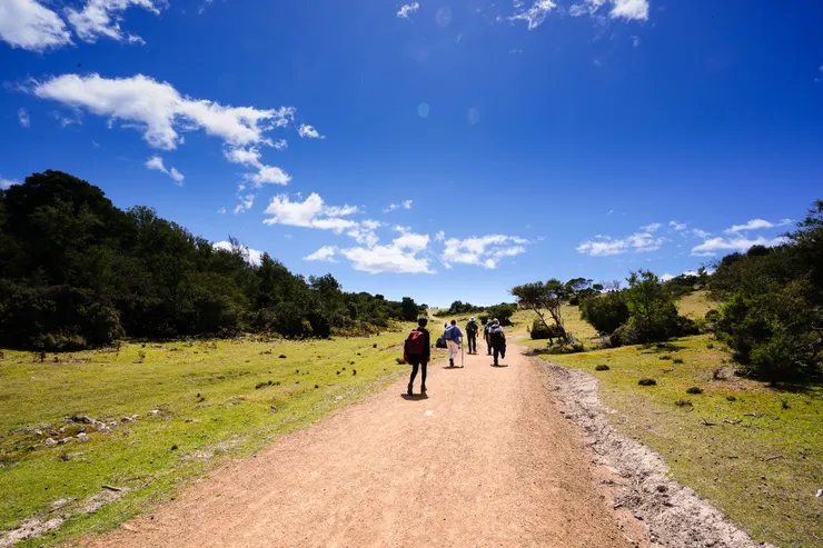 繼續向海邊走去