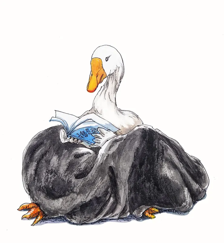 鵝肉品味的本質之，坐讀