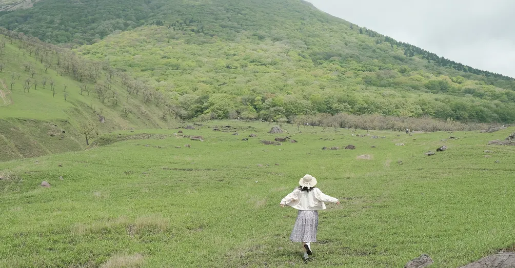 不過度用力的日本FP技能士讀書筆記