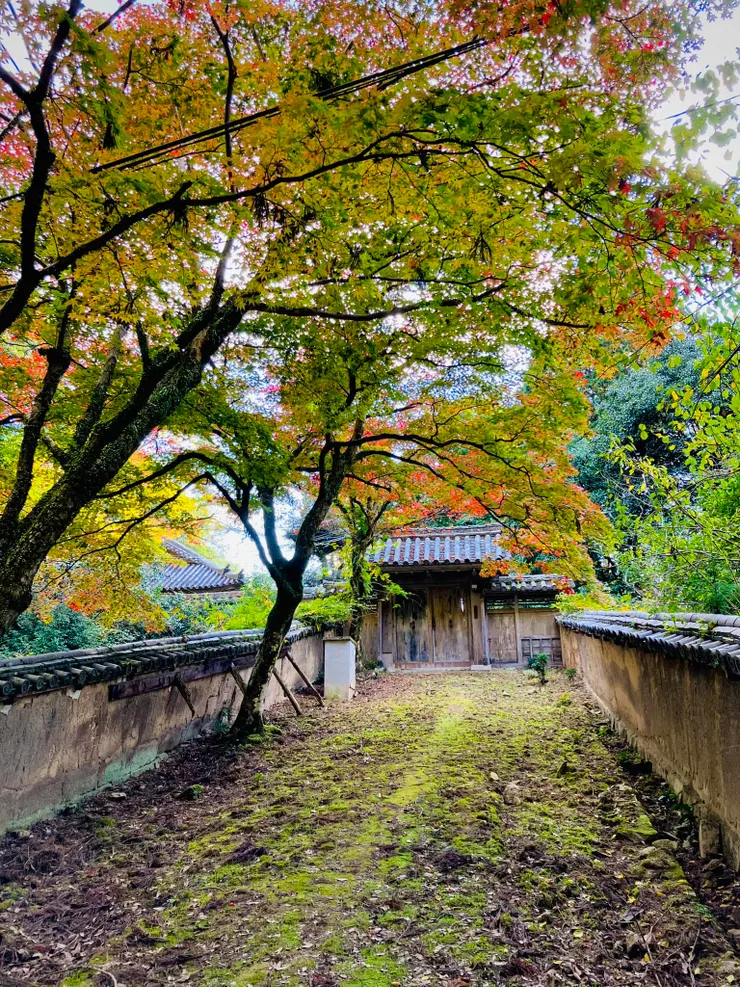 圖文不符（拍攝：我）