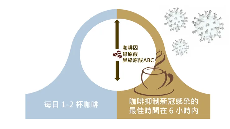 圖一: 咖啡抑制新冠進入宿主細胞的時間