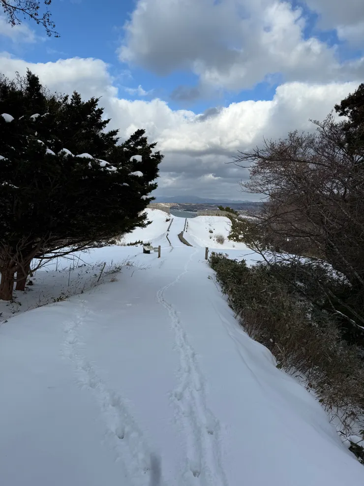 總算看到遺址了。