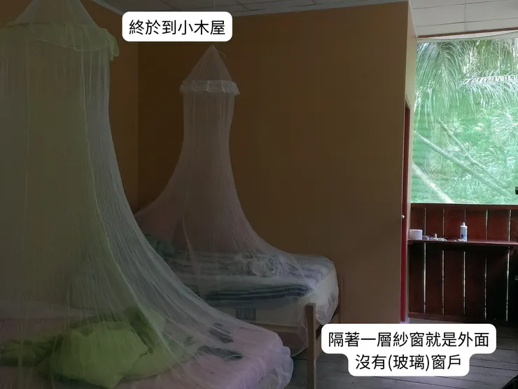 窗外有一條蛇鄰居