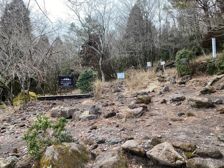 日本大分-由布岳 || 合野越