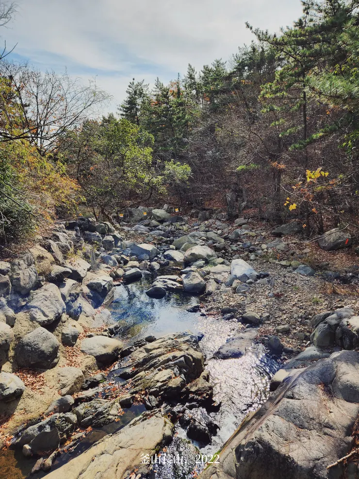 萇山溪谷，看到韓網有網友分享萇山溪谷在櫻花季開滿櫻花的樣子，溪谷跟櫻花非常漂亮!