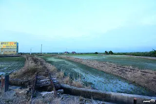 左：過溝線，右：埤麻腳線-往過溝方向拍&nbsp;&nbsp;