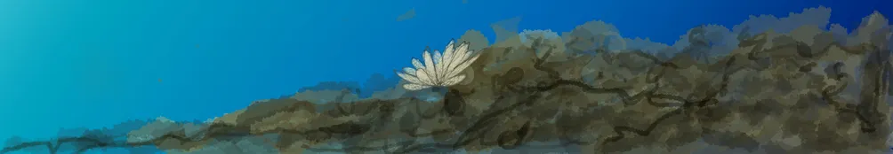 方格子-黑胡桃網路閣