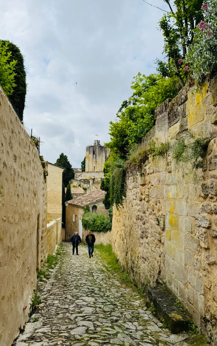 這二位阿伯在山下討論了很久,終於決定爬上來