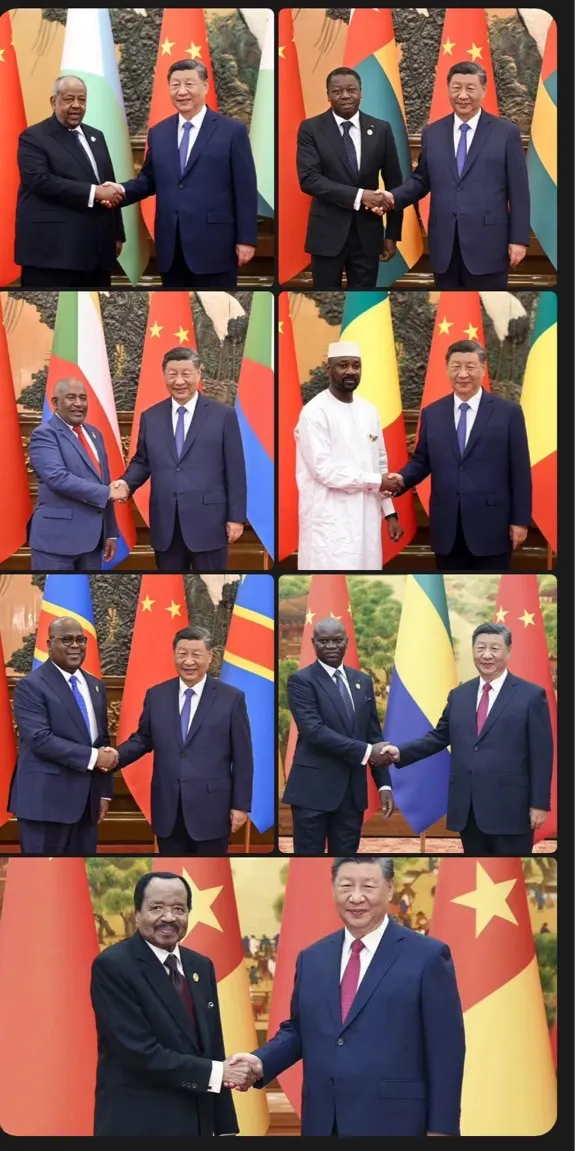 圖片來源: 網路