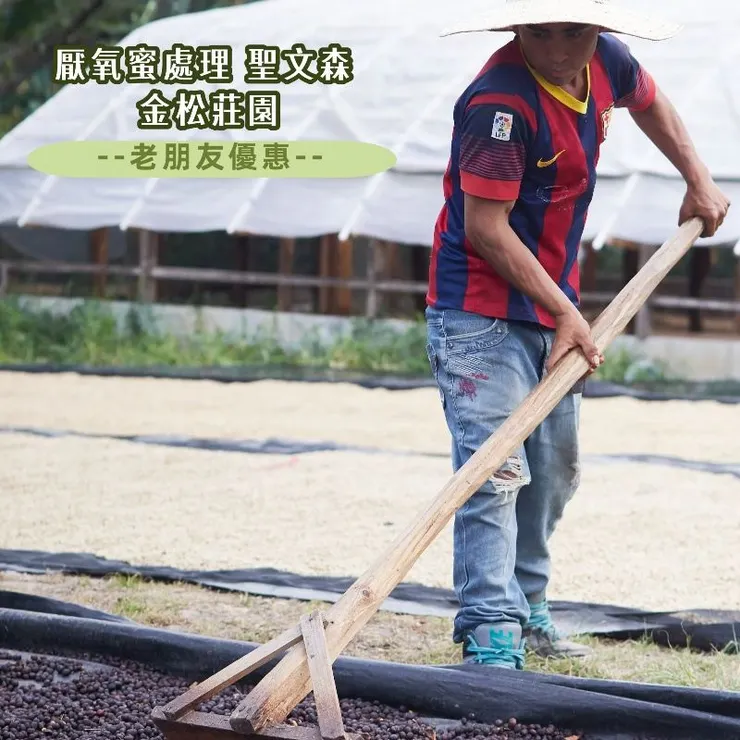 「宏都拉斯 聖文森處理廠 金松莊園 厭氧蜜處理 卡杜艾」 絕對值得你細細品味