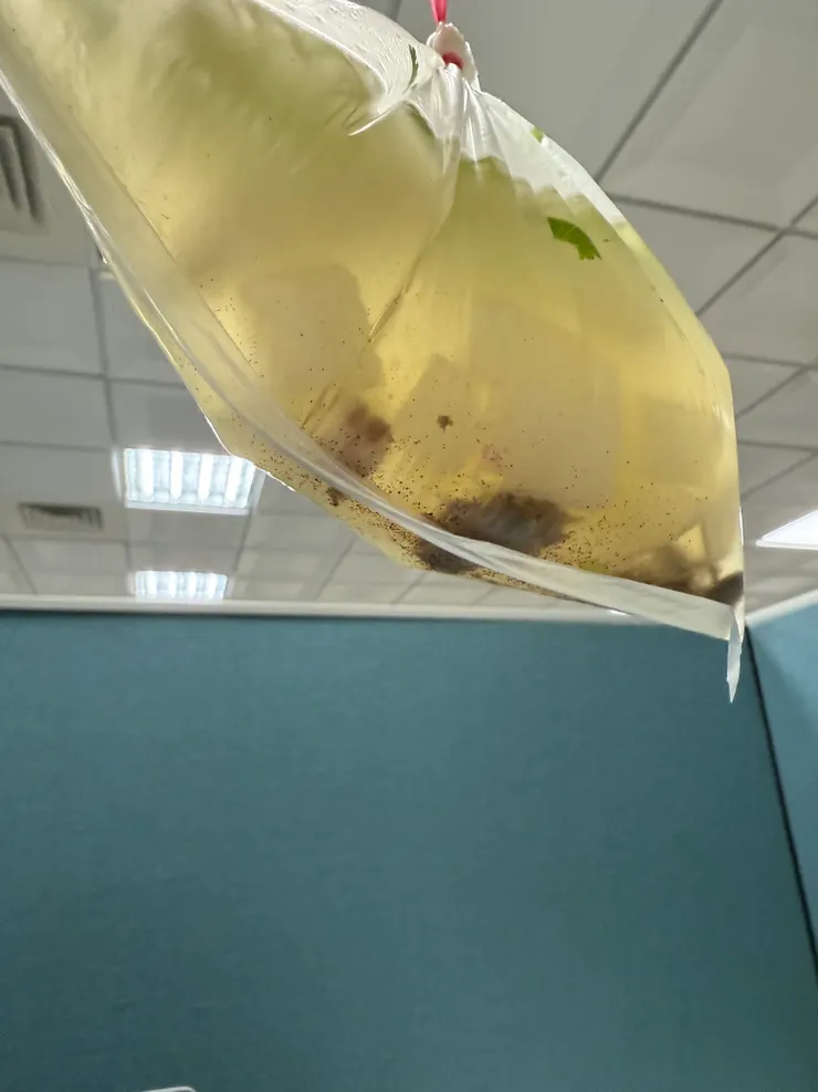 2025/10/21 夢幻的菜頭湯