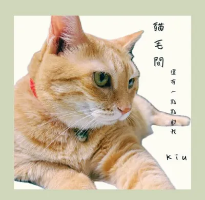 貓毛間，還有一點點的我