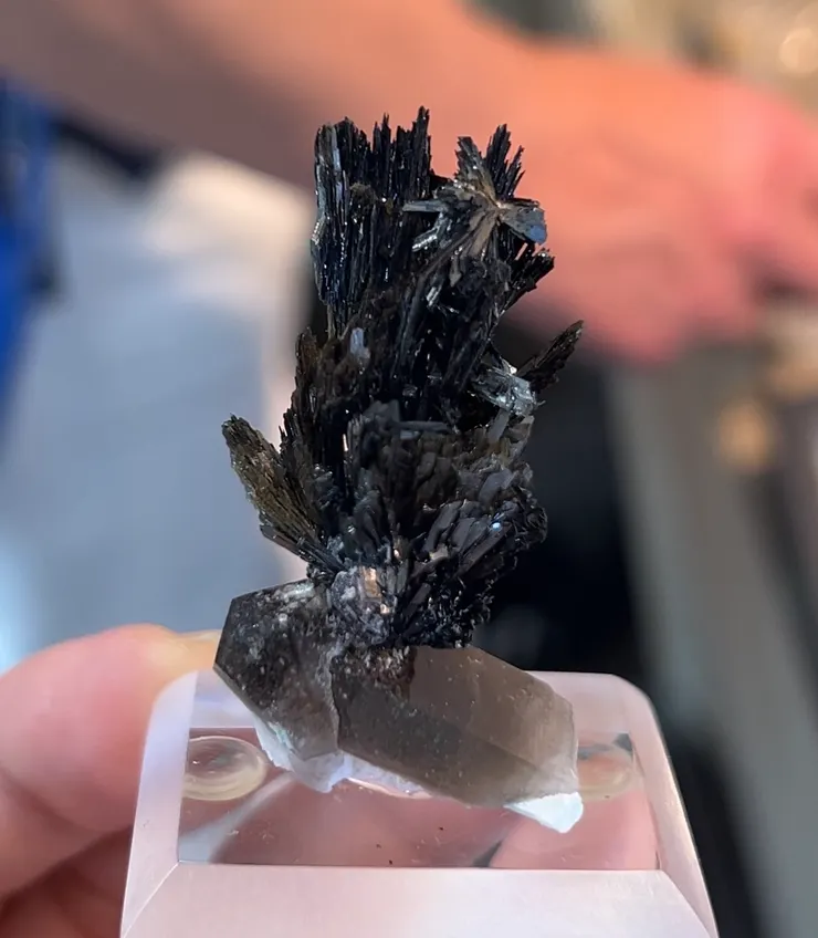 美國科羅拉多州的針鐵礦共生煙晶，礦標性非常好。