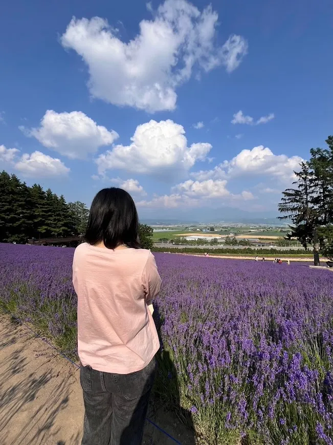佔據視野的薰衣草田