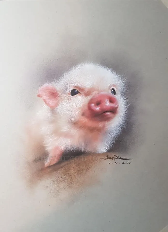 夏綠蒂的小豬 (媒材:粉彩)