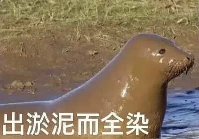 Lichi泰百熱水壺