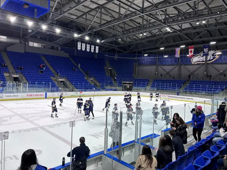 圖六：Ice Hocky Game