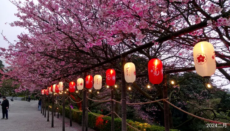 華燈初上天元宮