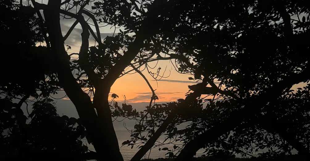 東方太陽的升起