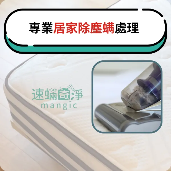 塵螨過敏.除塵螨推薦.台北除塵螨推薦.新北除塵螨推薦