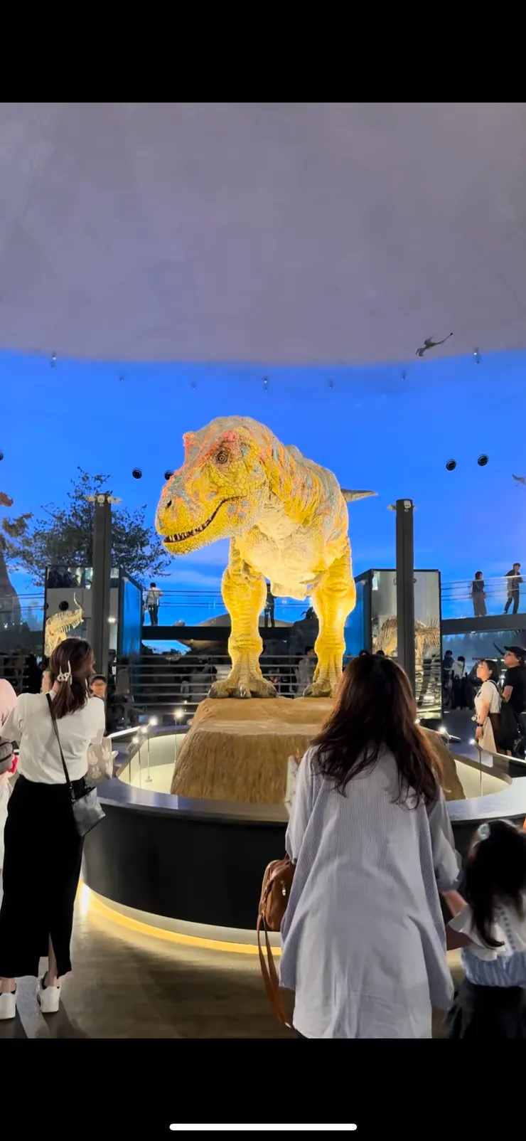 迎接大家的暴龍