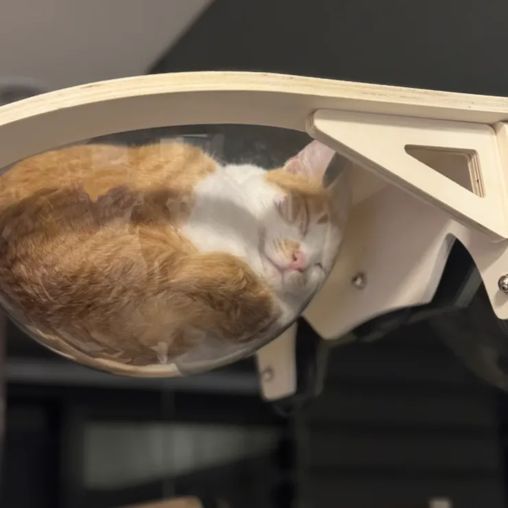 跟我一起休息吧~