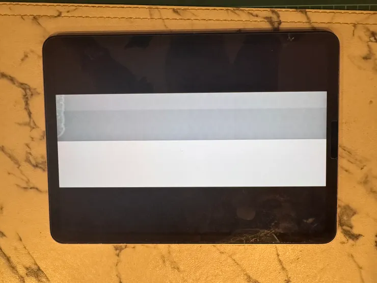 Ipad air5泡水螢幕燒毀