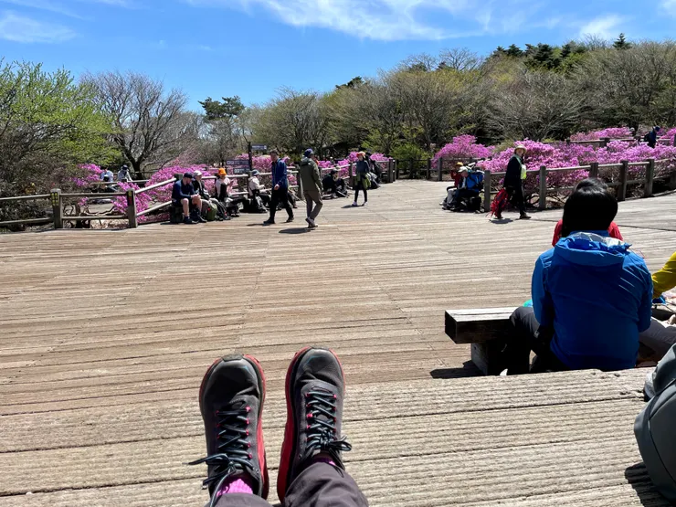 漢奴山杜鵑避難所