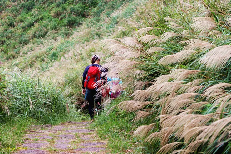 秋天的金包里大路