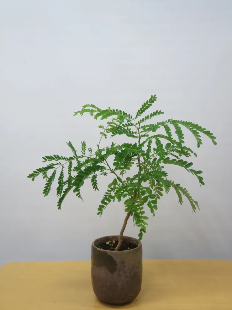 中山社大112.09.07